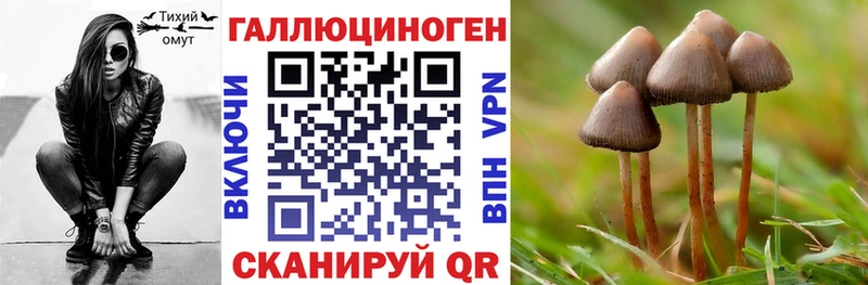 Галлюциногенные грибы прущие грибы  Тихвин 